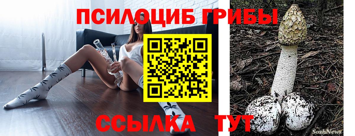 Балашиха  Галлюциногенные грибы Cubensis  Вход с VPN  Псилоцибиновые грибы прущие грибы 